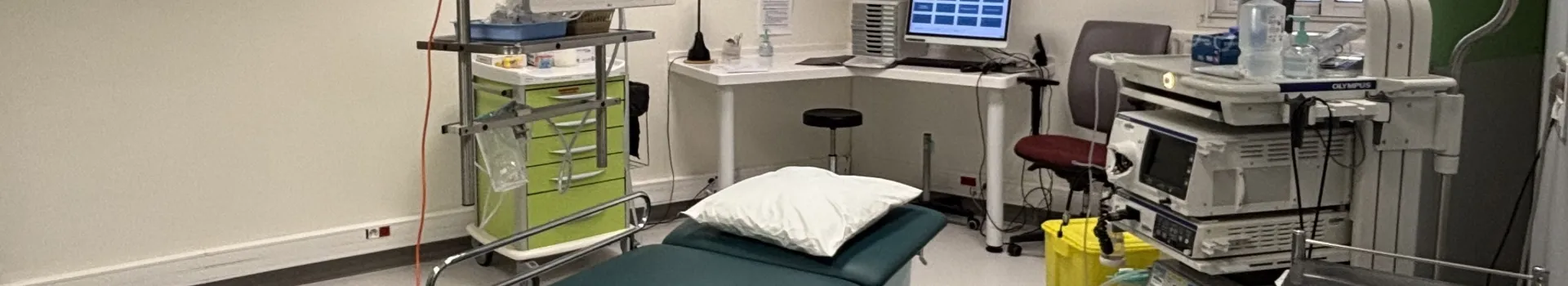 Photo endoscopie.JPG